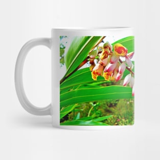 Kula Botanical Gardens Study 17 Mug